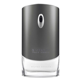 Givenchy Pour Homme Silver Edition